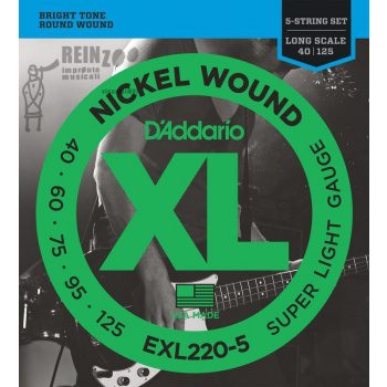 D'Addario Electric Bass XL Environmental 5 String .040 - .125 EXL220-5