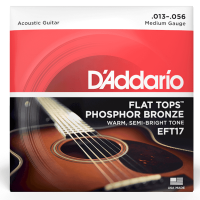D’ADDARIO EFT17 Flat Tops Medium 13-56