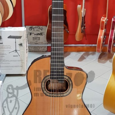 Takamine TH90 con custodia rigida (corde e plettri in omaggio)  -usato in garanzia-