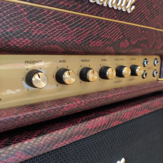 MARSHALL SV20H + SV112 Snakeskin Limited Edition 2020 - immagine 4