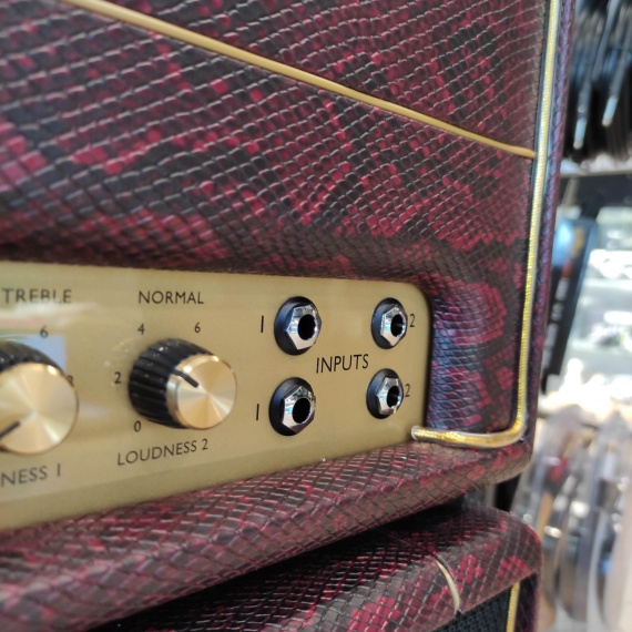 MARSHALL SV20H + SV112 Snakeskin Limited Edition 2020 - immagine 5