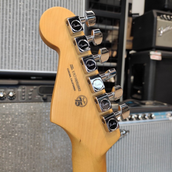 FENDER American Professional II Stratocaster Dark Night - immagine 5