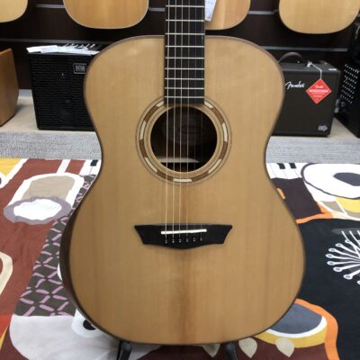 WASHBURN G10SE Comfort Natural