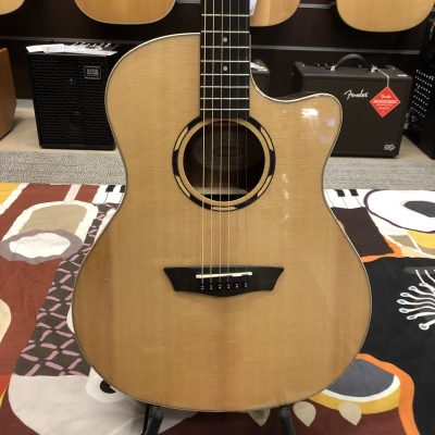 WASHBURN O20SCE Woodline