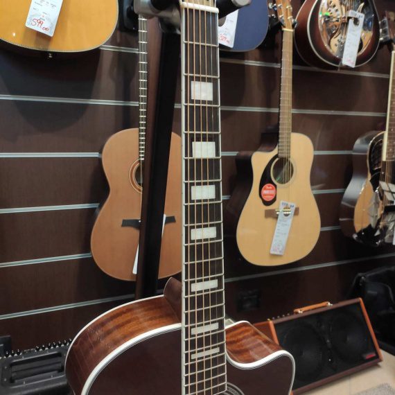 D'ANGELICO PREMIER GRAMERCY ICED TEA BURST - immagine 7