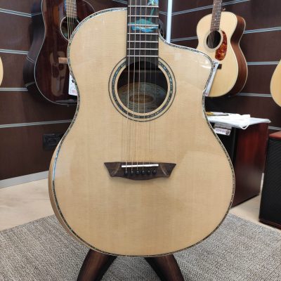 WASHBURN ALLURE SC56 SCE