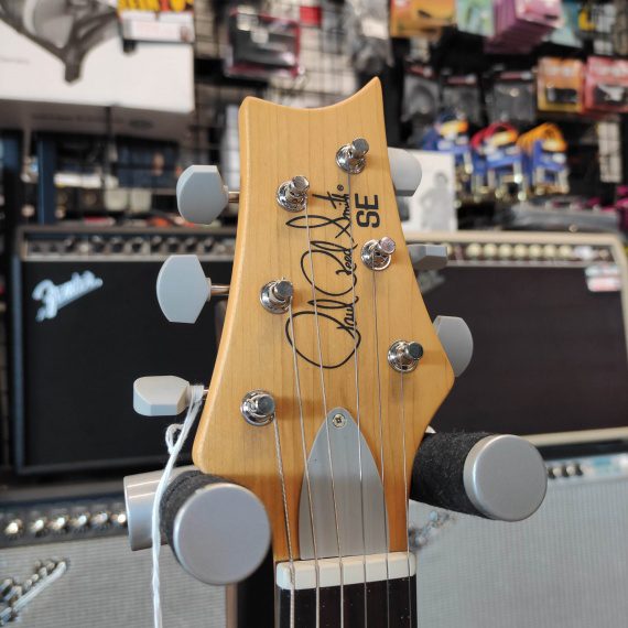 PRS SE Silver Sky Ever Green - immagine 8