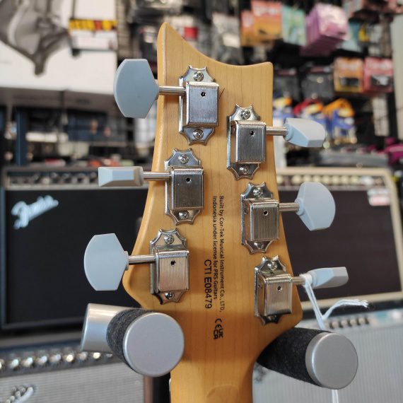 PRS SE Silver Sky Ever Green - immagine 3