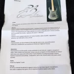 GB Liuteria Ergal 7 Corde 2022 Nero Perlato Metallizzato Opaco - immagine 18