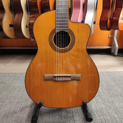 TAKAMINE GC3CE Natural