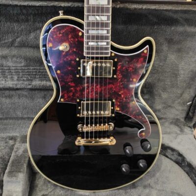 D’ANGELICO Deluxe Atlantic black