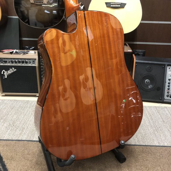 WASHBURN AD5 CE PACK - immagine 3