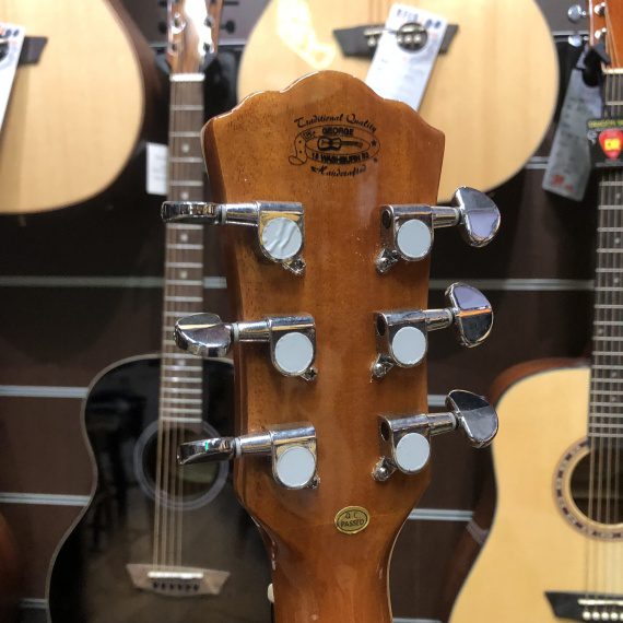WASHBURN AD5 CE PACK - immagine 5