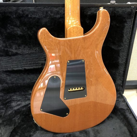 PRS Custom 24 Eriza Verde 10-Top 2018 - USATO IN GARANZIA - - immagine 11