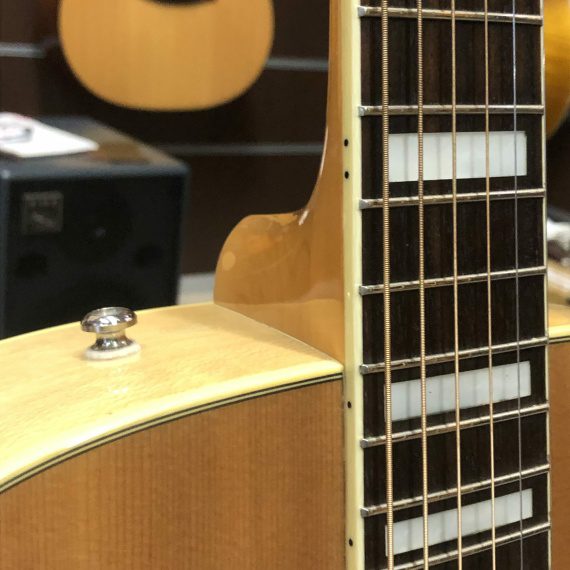 FENDER ELVIS KINGMAN - USATO IN GARANZIA - - immagine 5