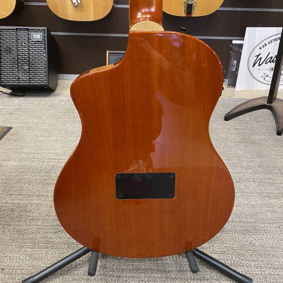 ORTEGA TOURPLAYER RTPSTD-FMA - immagine 5