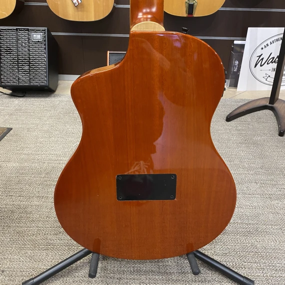 ORTEGA TOURPLAYER RTPSTD-FMA - immagine 5