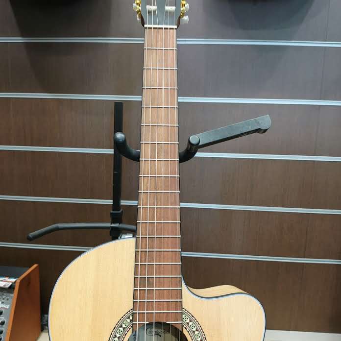 CAMWOOD IC-100D NA CWE - immagine 2
